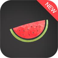Melon VPN 8.0.112